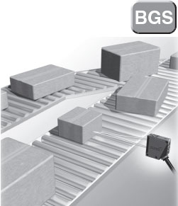 BGSmr