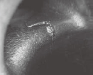 Tܽ^