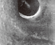 ܵ(ni)ĠB(ti)