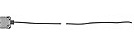 ż